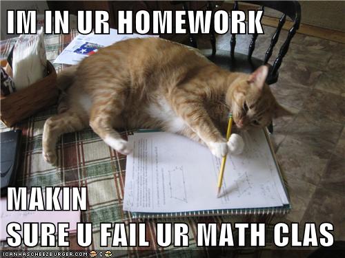 cat homework meme