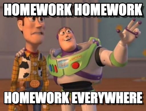 homework everywhere meme