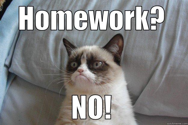 grumpy cat homework meme